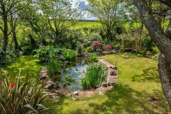 pond-garden